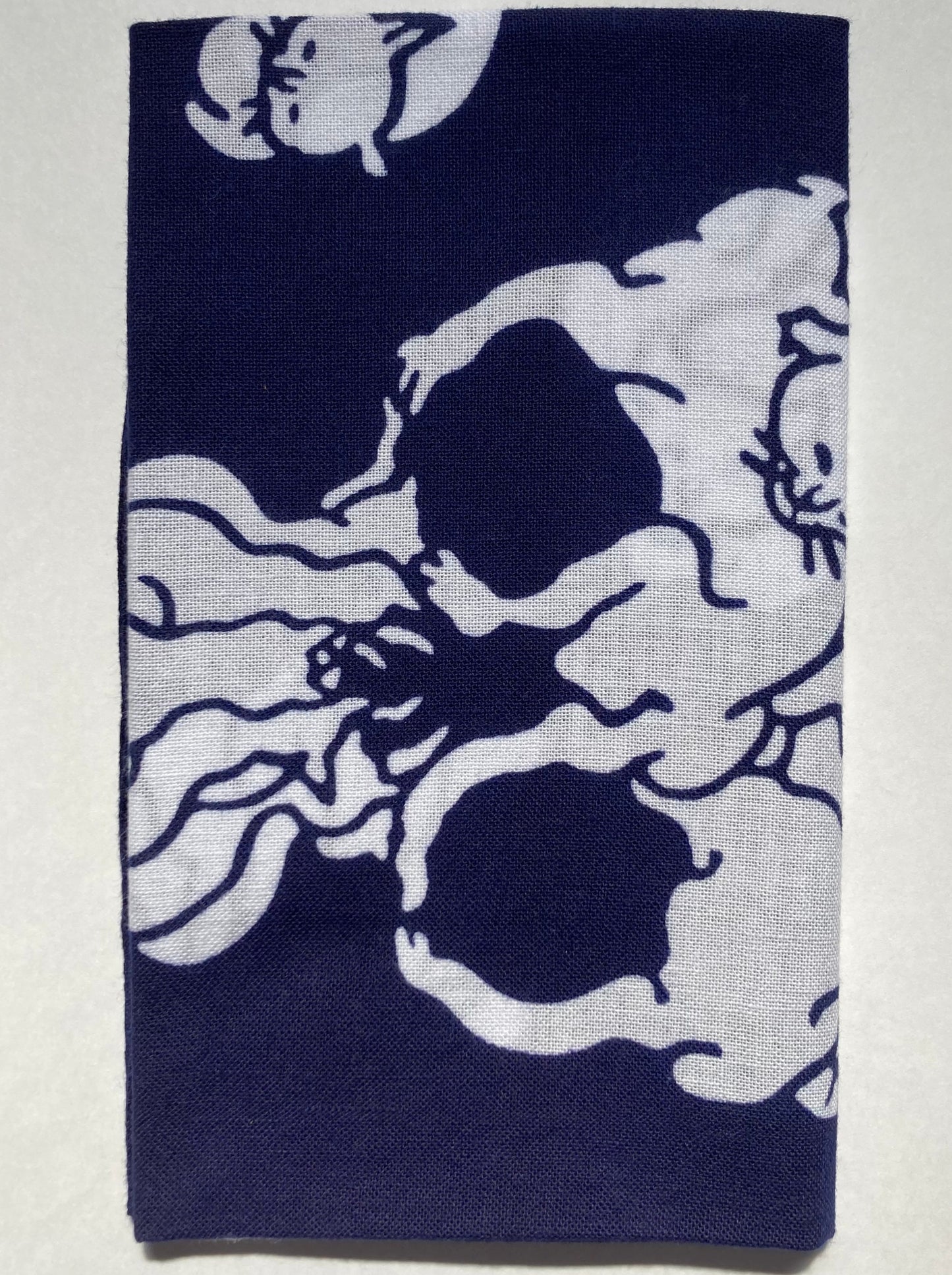 Cats skull