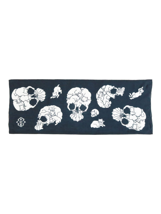 Cats skull